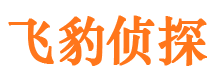 昭阳市调查公司